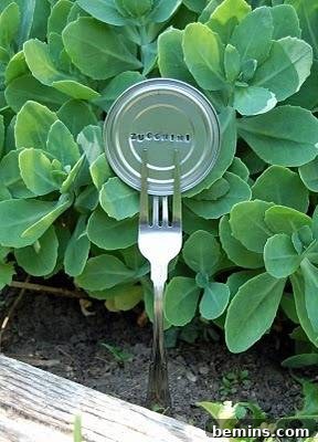 Wire Coat Hanger Plant Markers
