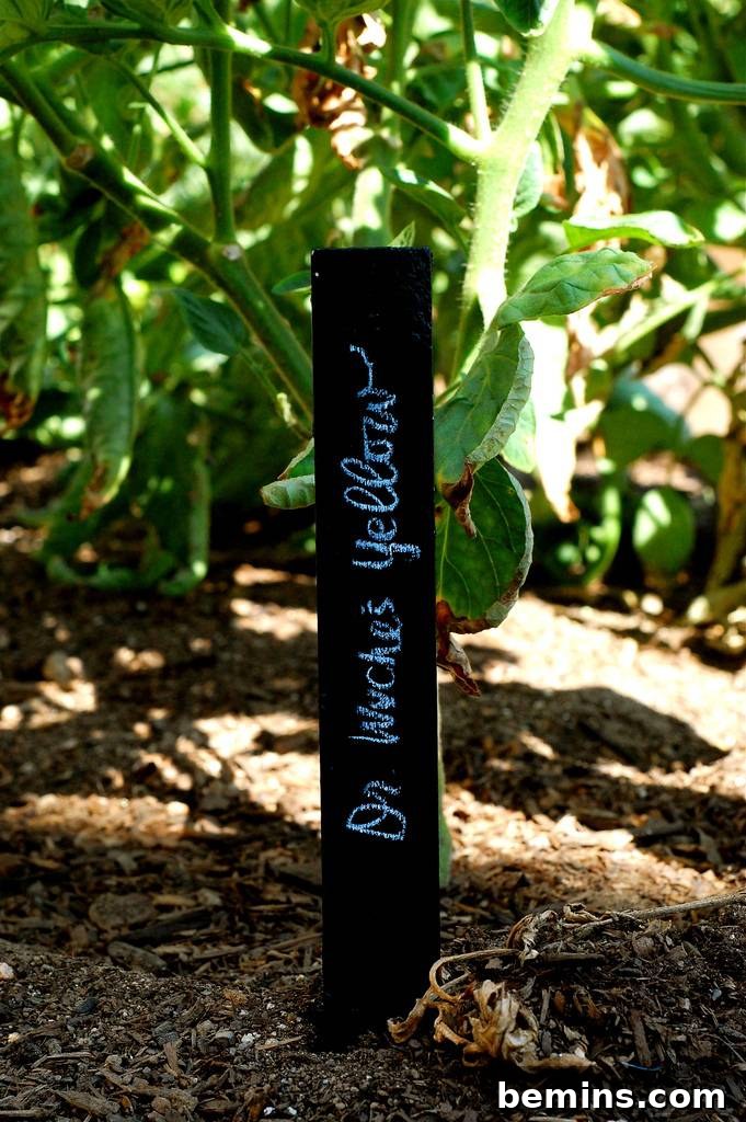 Chalkboard Paint Stir Stick Plant Markers