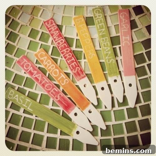 Colorful Scratch-Off Plant Markers