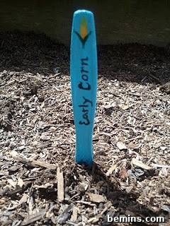 Steel Strapping Plant Markers