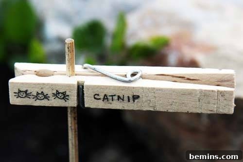 Cork and Bamboo Skewer Plant Markers