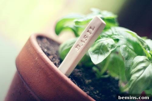 Stamped Spoon Plant Markers