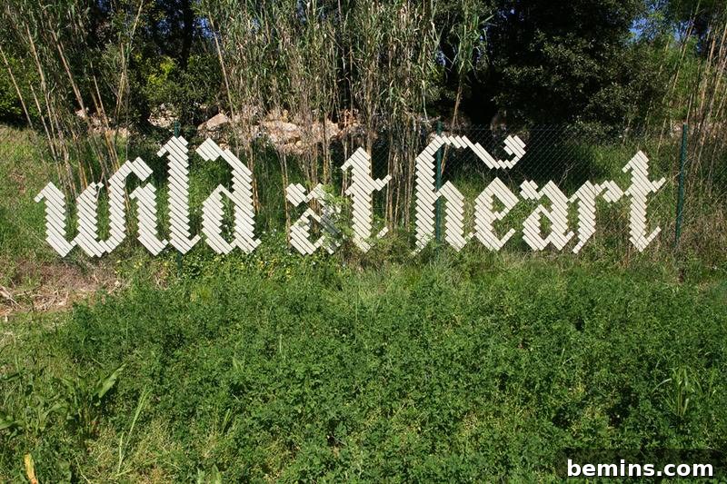 Typography Art Example 6: Wild at Heart Fence Art by Anna Garforth