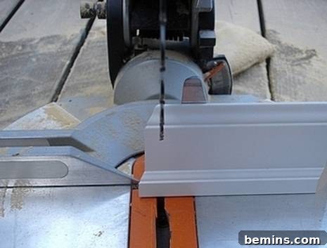 Saw dust on a saw