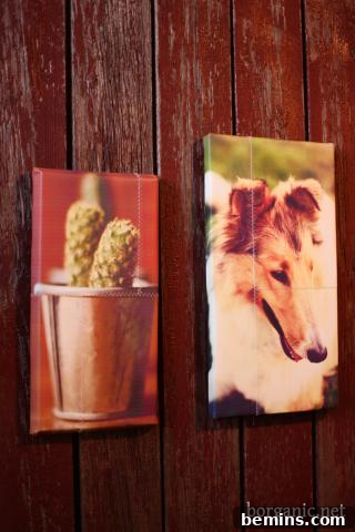 Creative DIY Photo Displays: 10 Unique Wall Art Ideas 6 Photo tiles hanging on a wood panel wall.