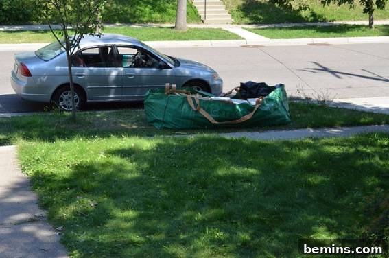 A silver car parked beside a skinny tree and a large green suitcase.