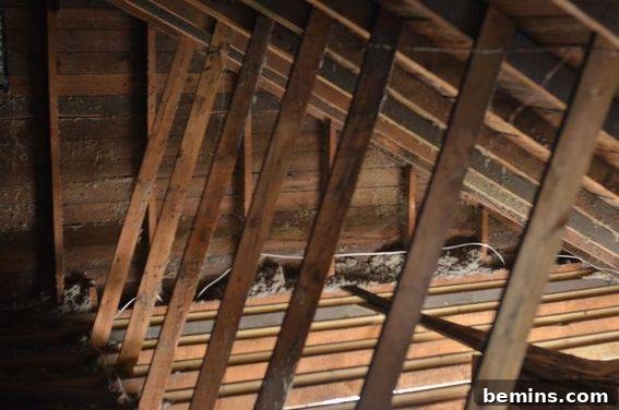 Week 3: Bedroom Ceiling Demolition (Video) 8 Damaged Ceiling Joists