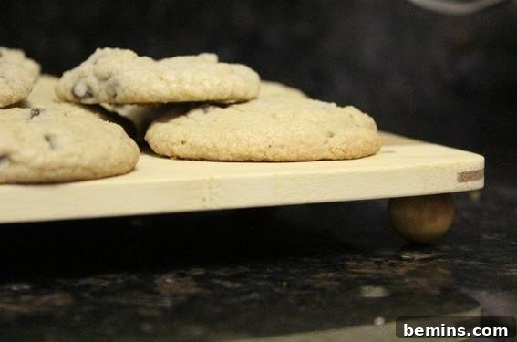Cookies Cooling on the DIY Cooling Board