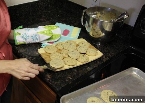 Homemade Cookies on a Countertop
