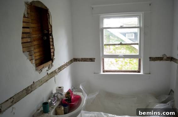 Bathroom Demolition in Progress