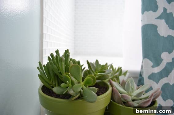 Bathroom Detail with Plants and Green Planters