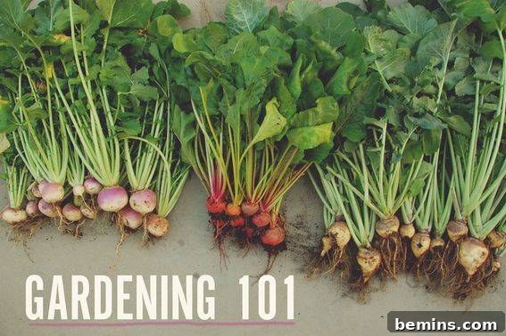 8 DIY Outdoor Projects to Elevate Your Summer 4 Gardening 101: A Beginner's Guide to Planting