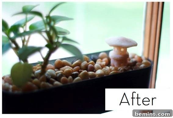 Finished Vertical Window Garden with Miniature Lantern