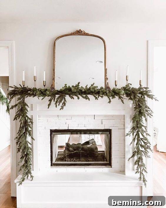 Classic white see-through fireplace with glass doors.