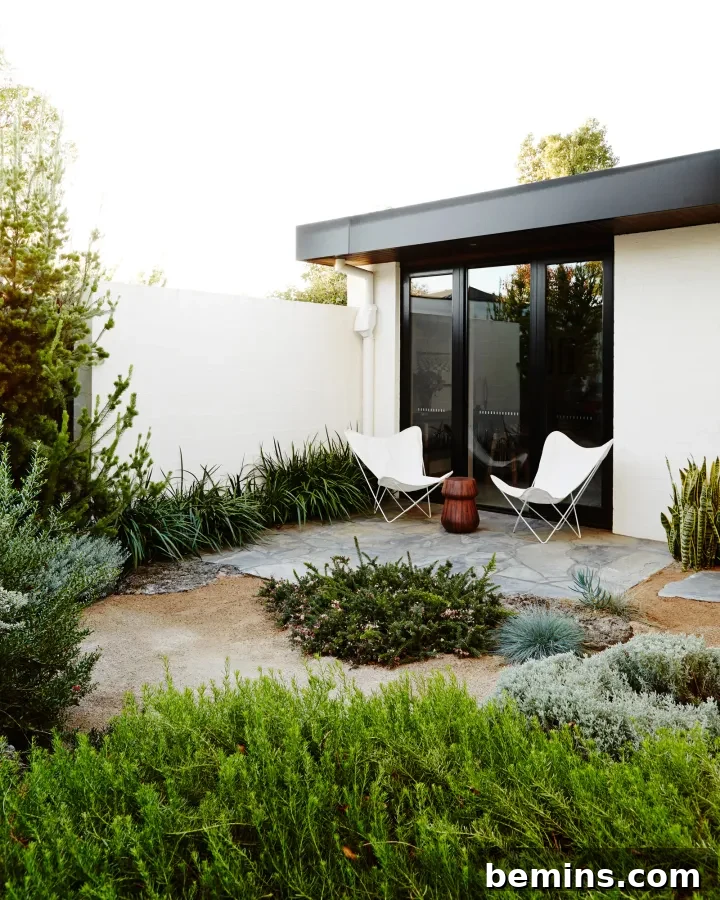 Crafting Your Dream Spring Garden: A Comprehensive Guide 5 Drought friendly landscaping