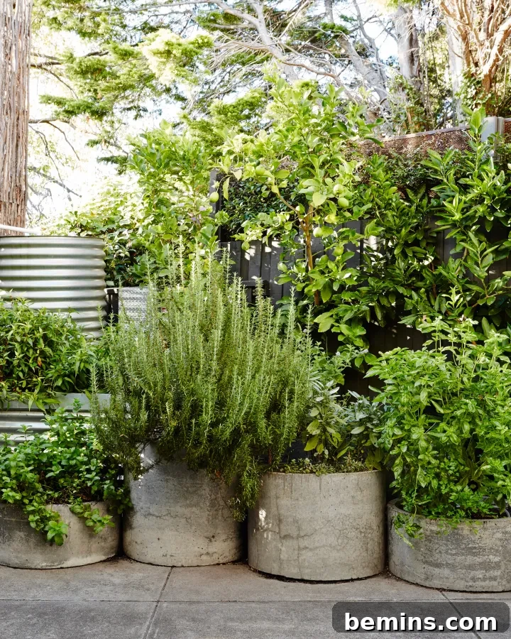 Crafting Your Dream Spring Garden: A Comprehensive Guide 6 Container plantings