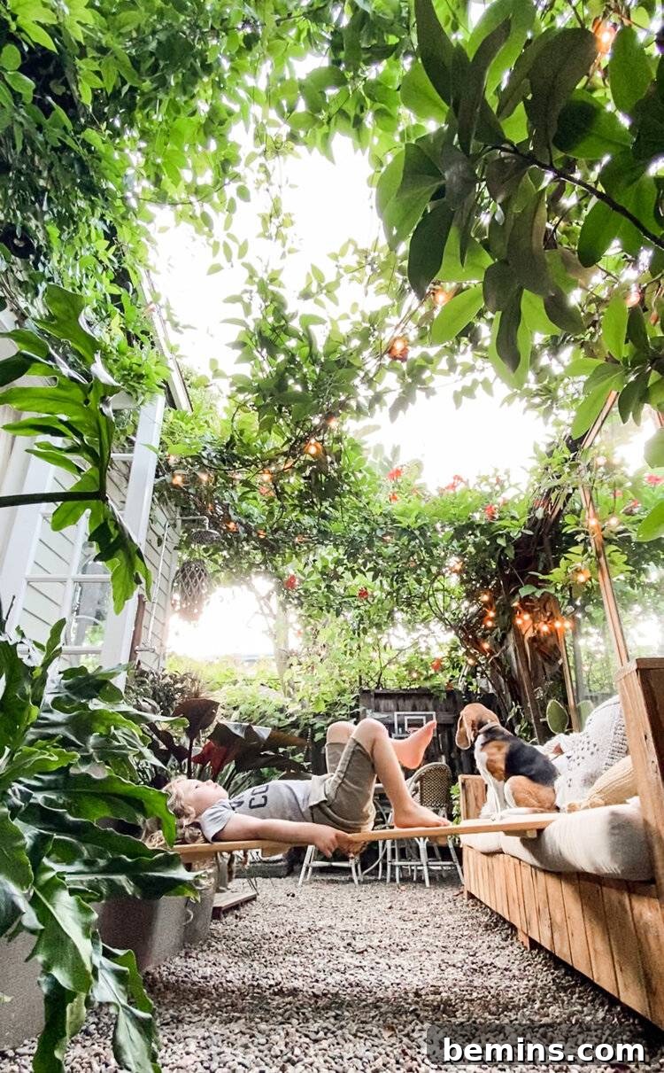 Crafting Your Dream Spring Garden: A Comprehensive Guide 7 Vine canopy
