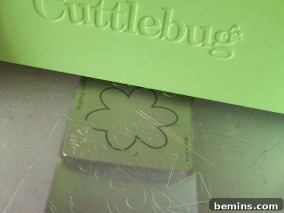 Cuttlebug in action