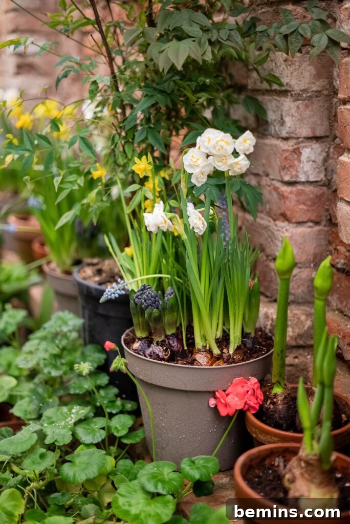 A beautiful summer flower garden