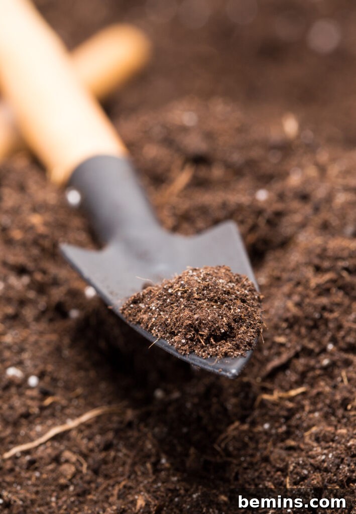 Soil and hand shovel