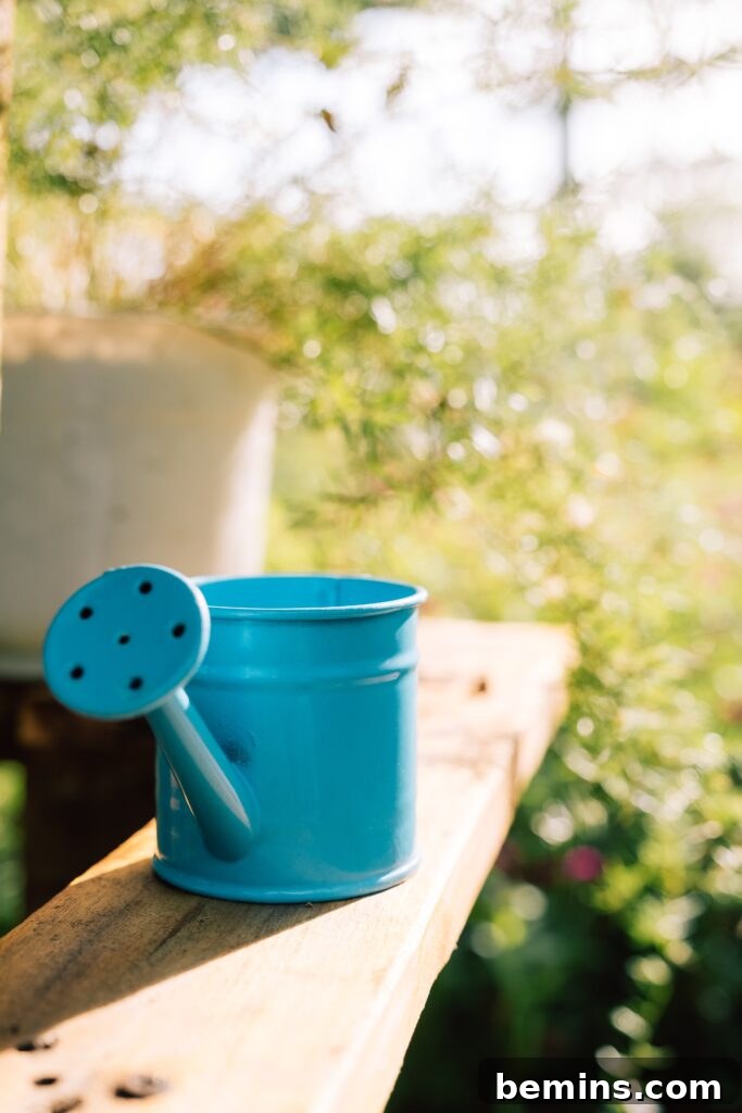 Watering can