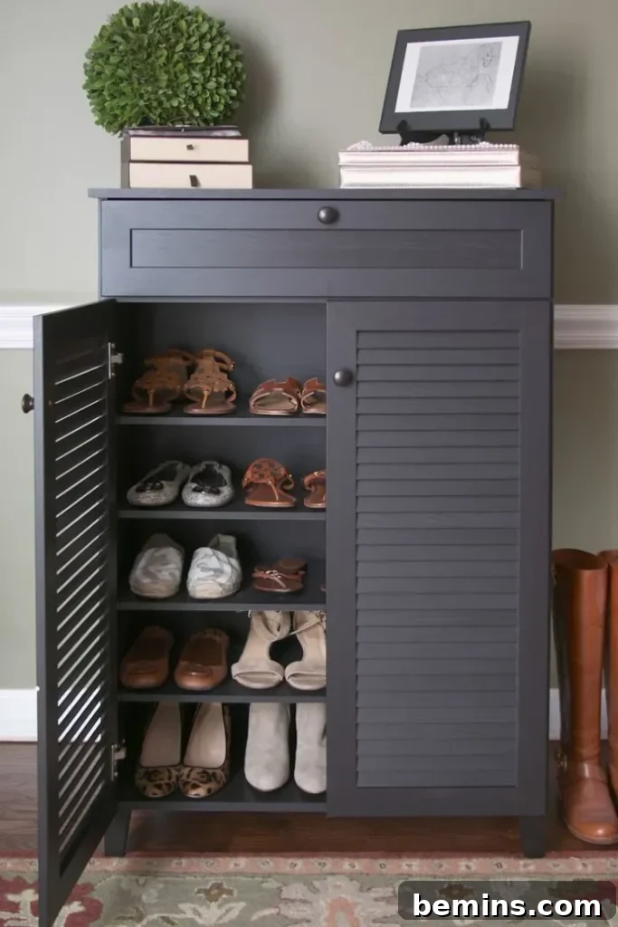 Low profile shoe storage cabinet.
