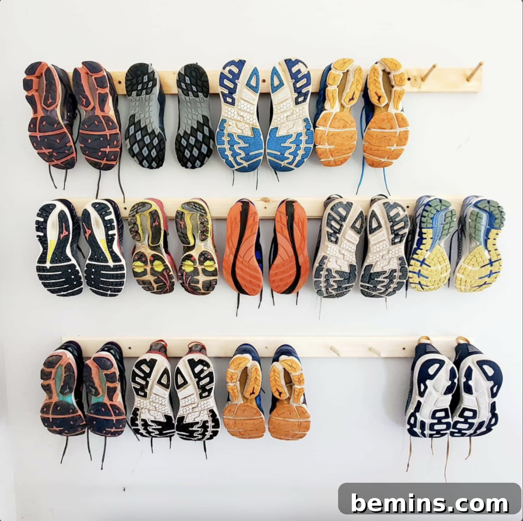 Wall-mounted shoe rack