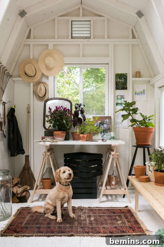 Backyard garden and hobby shed