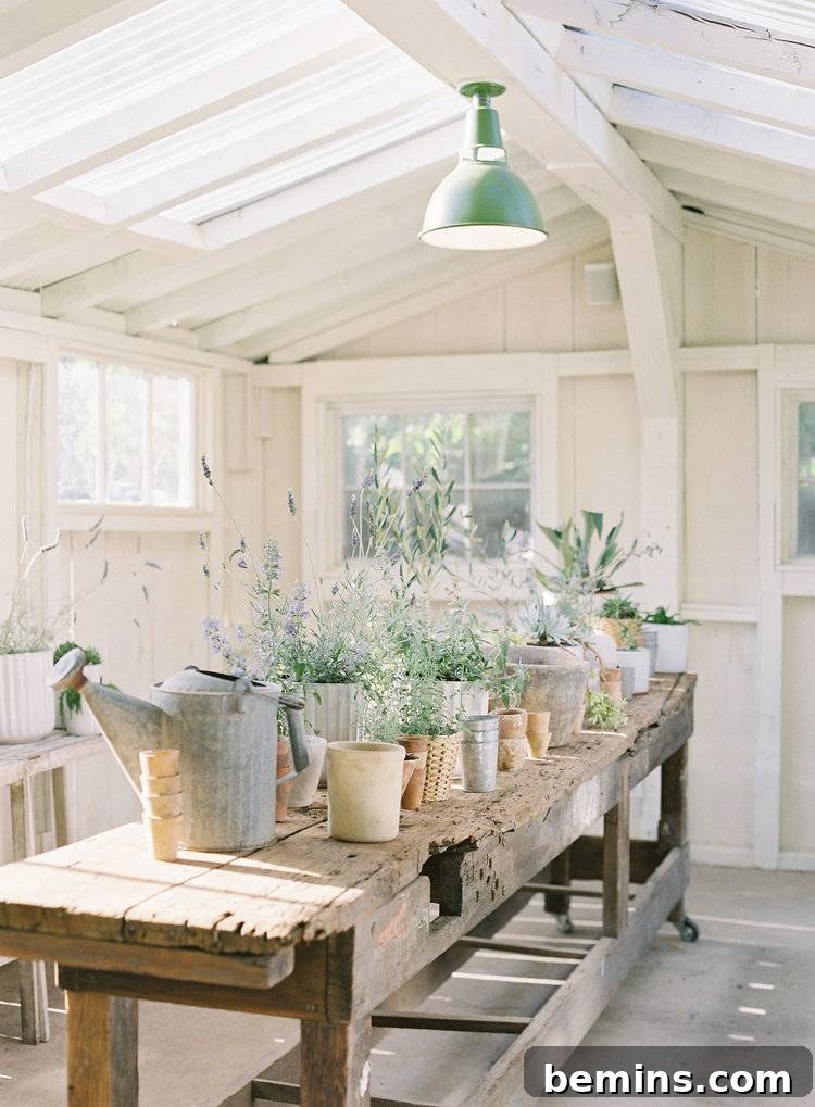 Garden workspace she shed