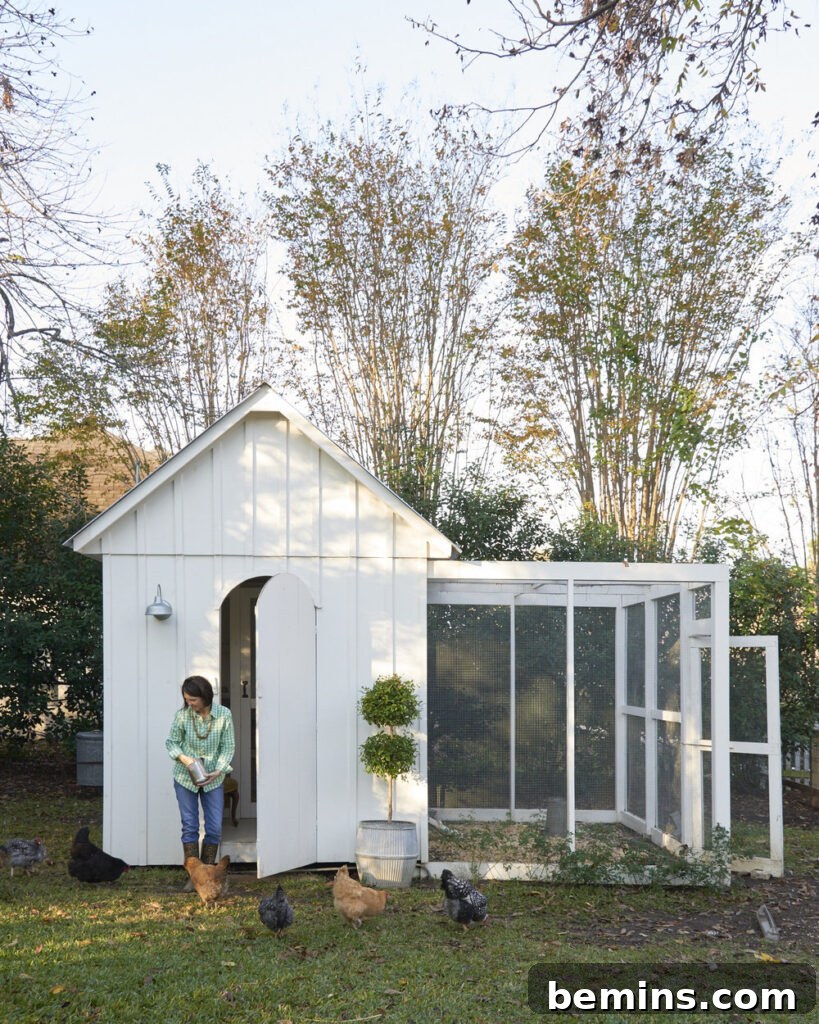 Inspiring Chicken Coop Designs for Happy Hens 2 Chicken Casita