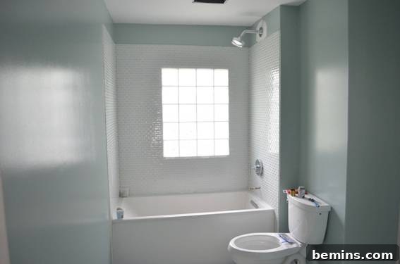 Bathroom Painted in Quietude