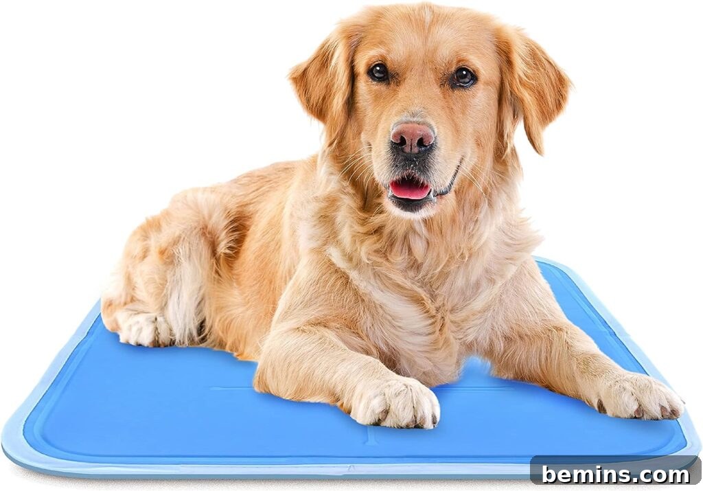 Dog cooling mat
