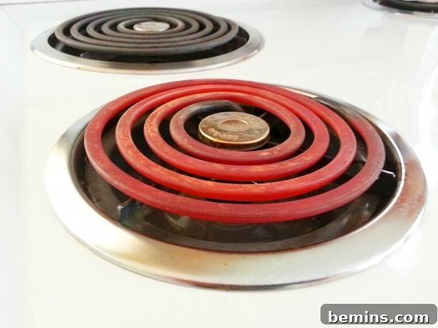 Sparkling Stove Top: Your Guide to Cutting Through Kitchen Grease 5 Coil stovetop burner