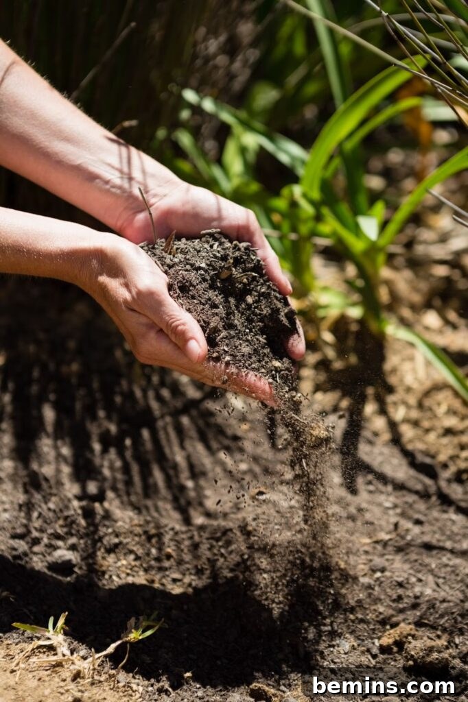 Hands working with garden dirt, preparing the soil for planting.