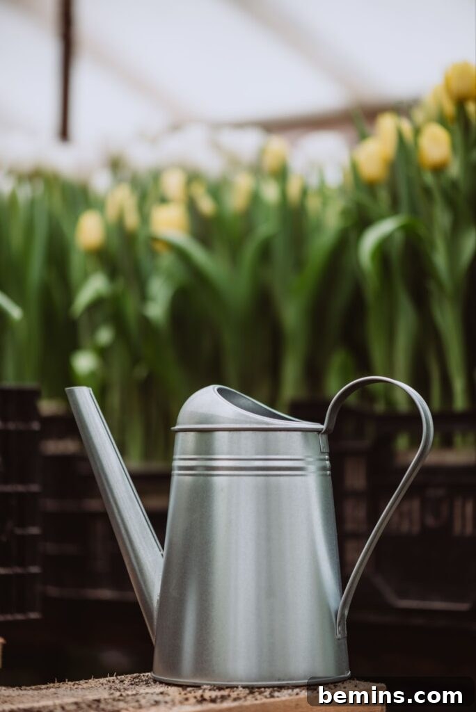 Watering can on a potting bench, ready to provide essential care for spring bulbs.