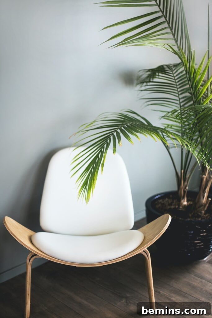 Bamboo Palm Beside Chair
