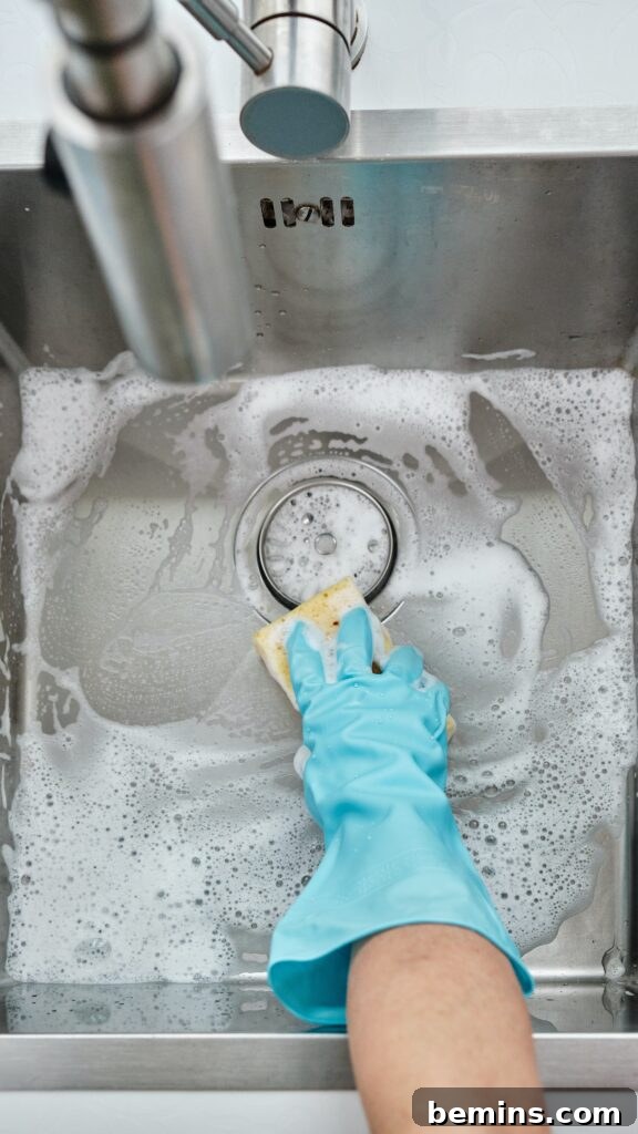 A well-maintained stainless steel kitchen sink, showcasing its cleanliness and functionality.