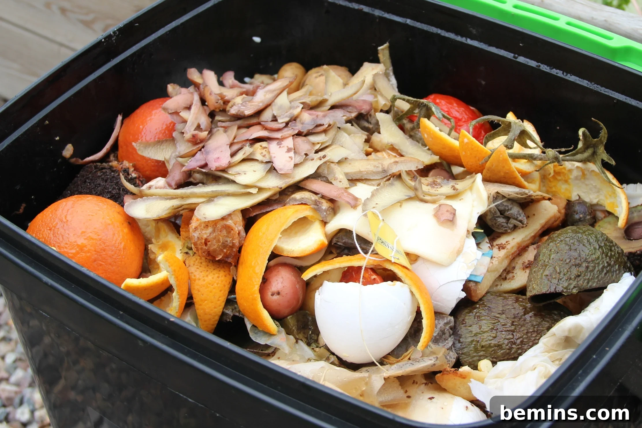 Bokashi bin green and black with food scraps inside