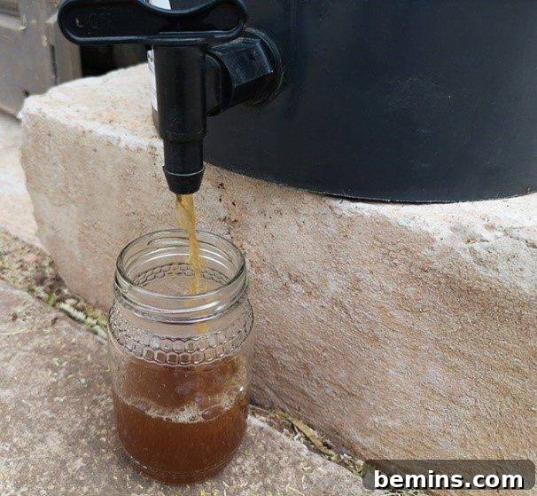 Bokashi Tea Pouring into Glass Jar