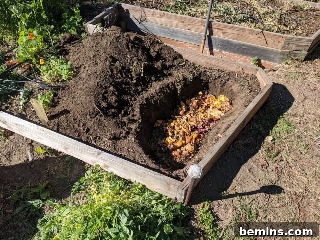 Bokashi Buried in Soil Bed