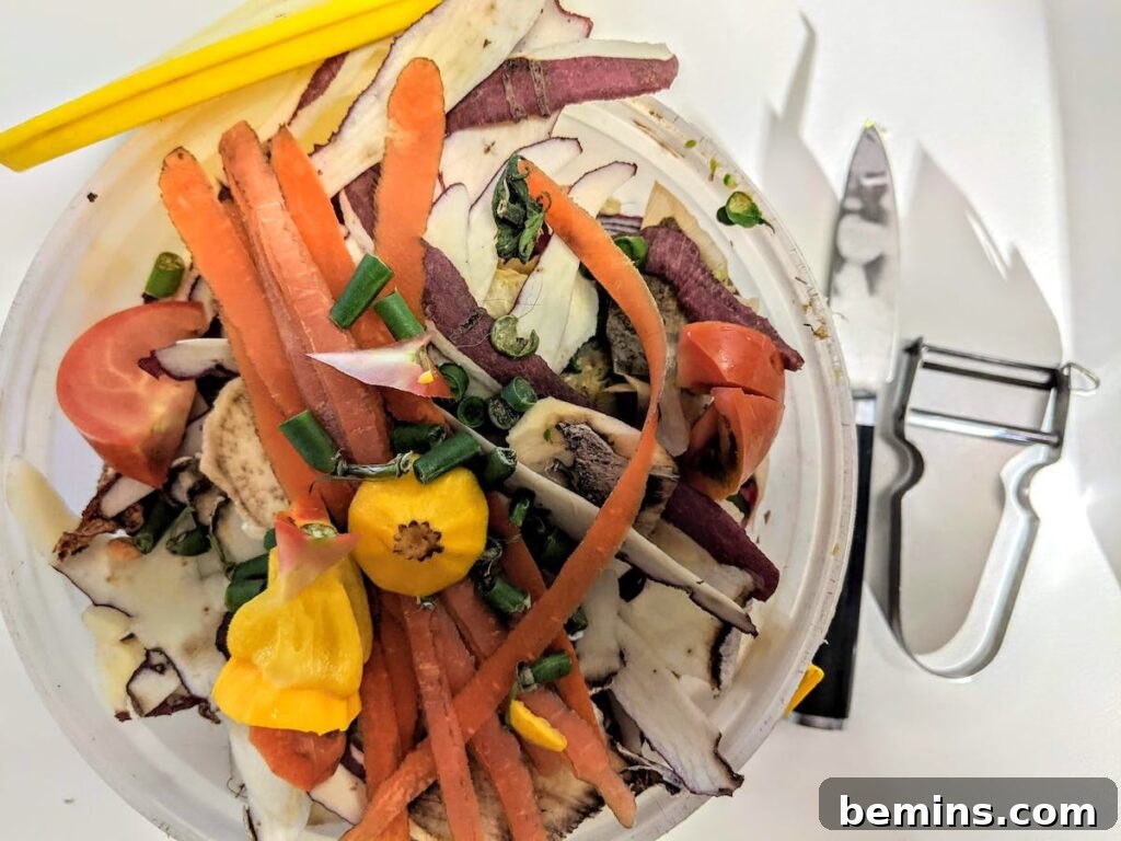Compost bucket