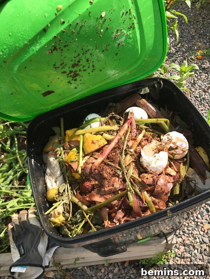 Black Bokashi Compost Bucket