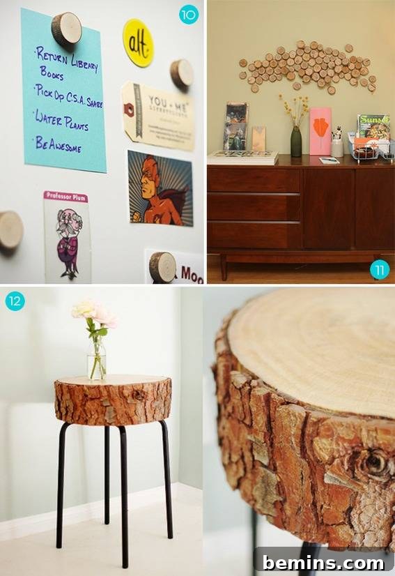 Creative Crafts with Fallen Branches: 15 DIY Projects 5 DIY Branch Slice Magnets