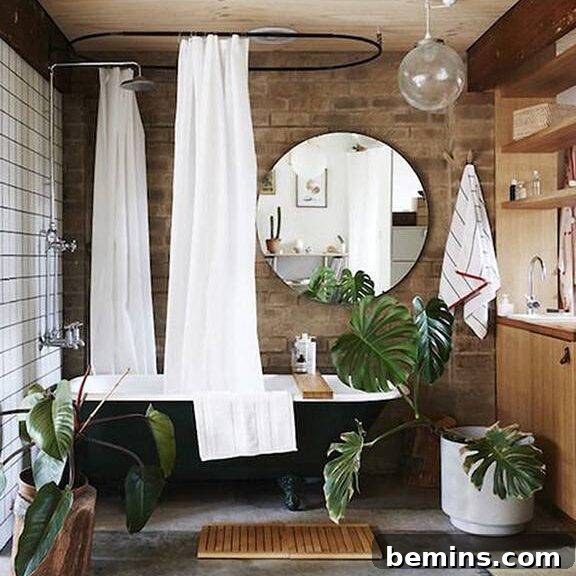 bathroom plants