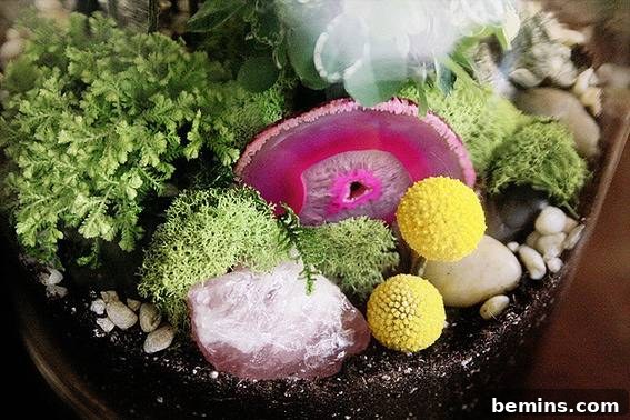 DIY Terrarium Gift Idea