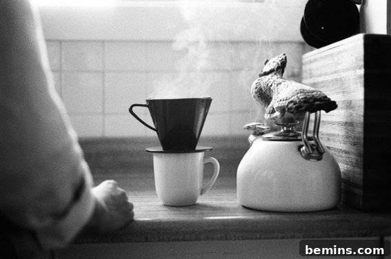 Linen Coffee Filter - Eco-Friendly Gift for Coffee Lovers