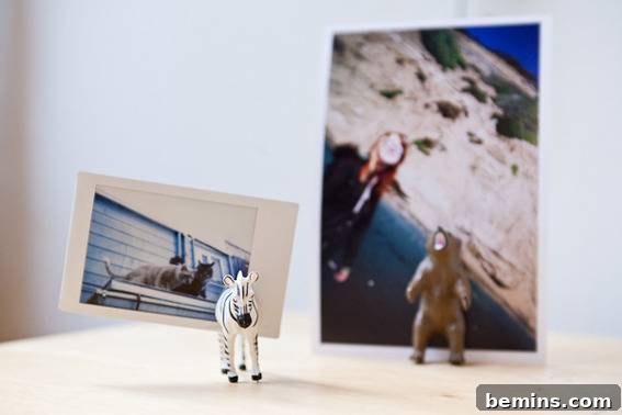 Animal Photo Magnet Set - Cute and Personalizable Gift