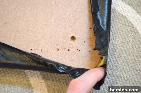 Removing rivets under the seat