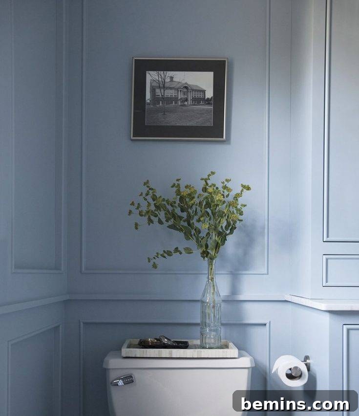 Powder blue bathroom with toilet, painting and green plant