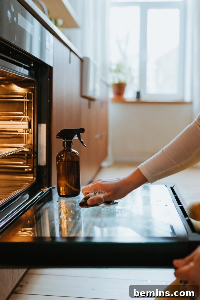 How to Deep Clean Your Oven Door for a Sparkling Finish 4 Hand cleaning an oven door